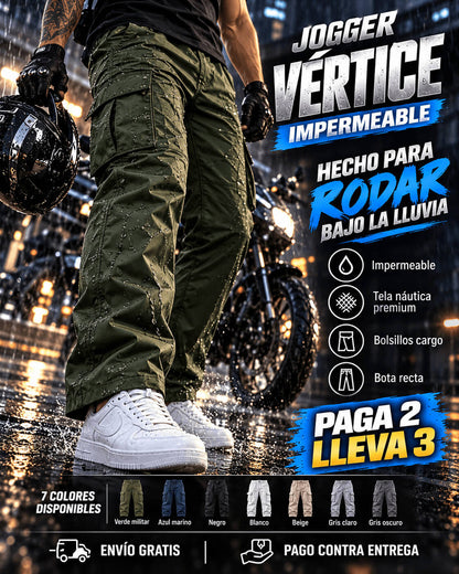 Jogger Vertice