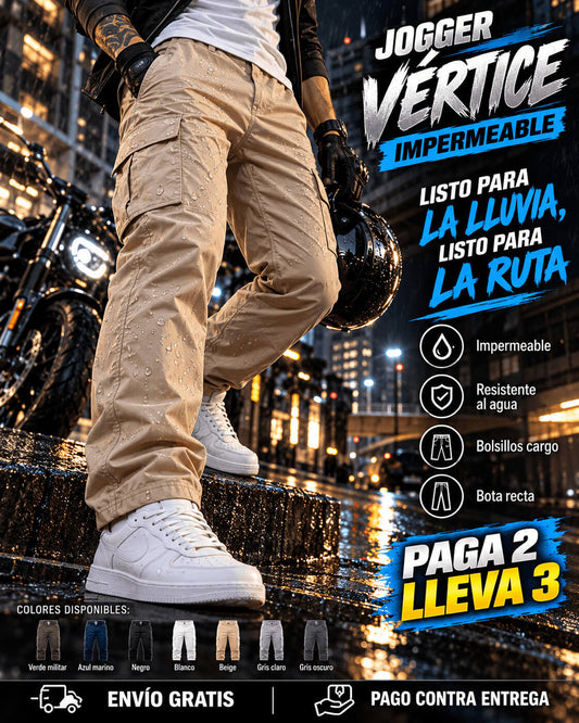 Jogger Vertice